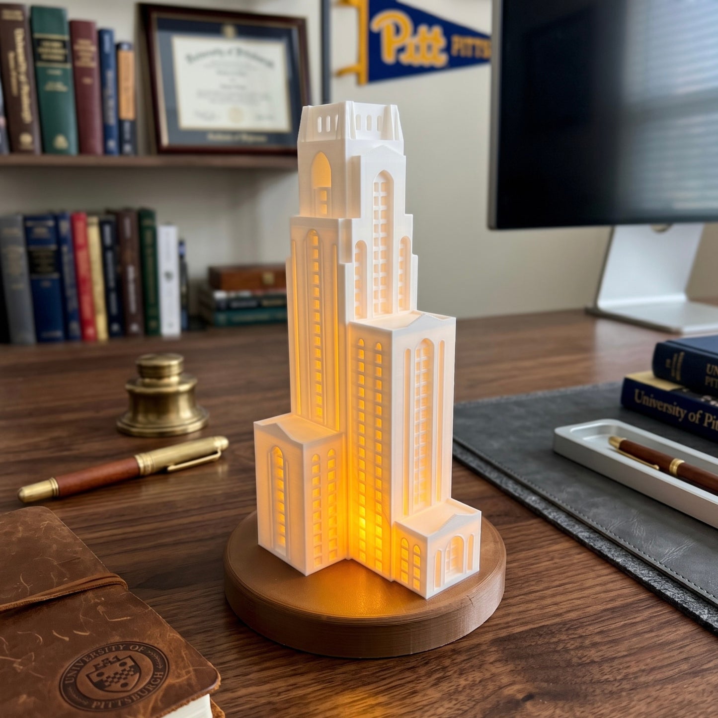 The university of Pittsburgh Pitt Cathy Light, shown in an office setting.