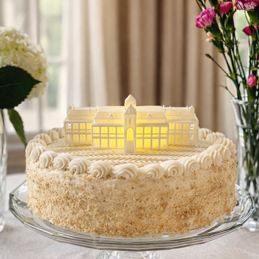 The University of Arizona cake topper, shown on a groom's cake.